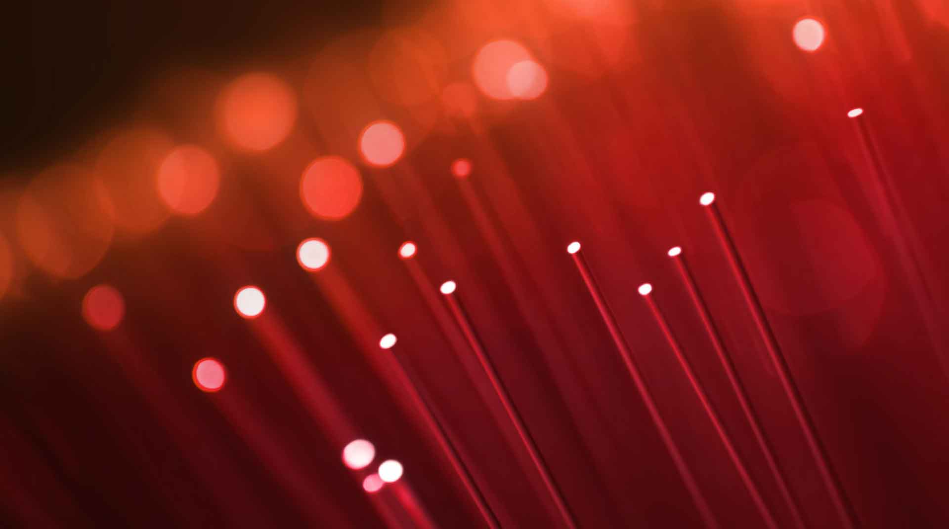 closeup of red fiber optics