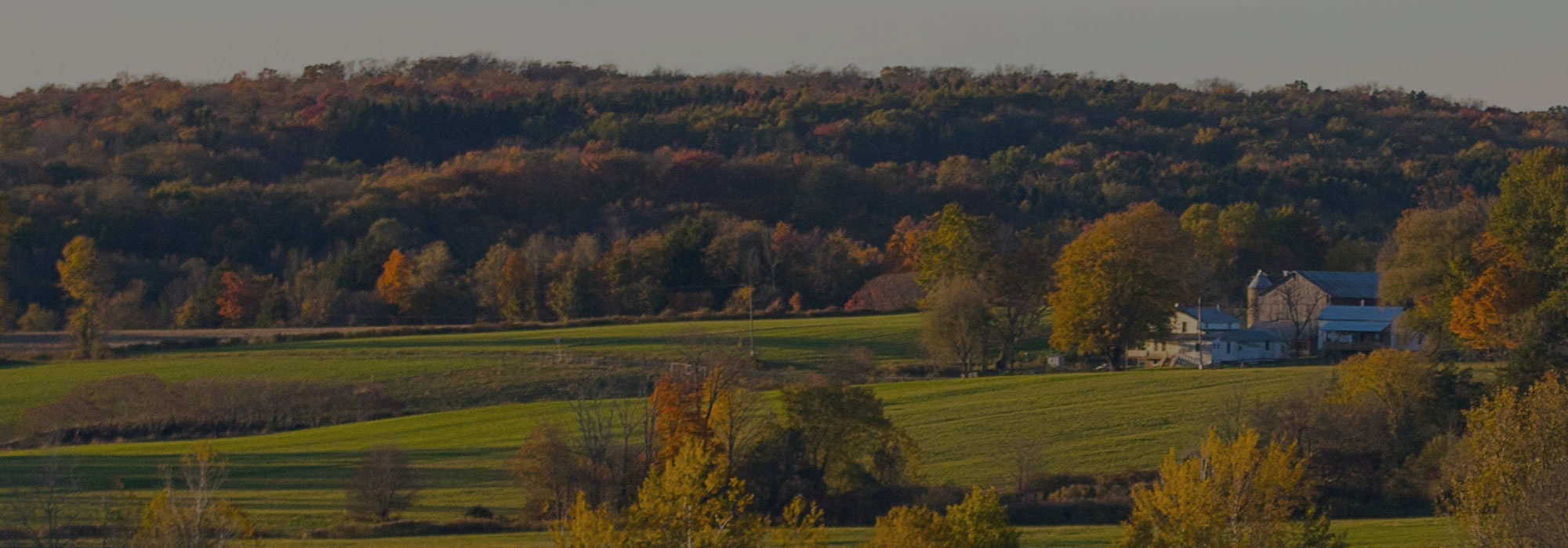 A picturesque rural landscape with rolling green fields and a farmhouse tucked amidst autumn-colored trees. A forested hill in the background stretches upwards under a clear Mansfield sky, where the serenity of nature creates an idyllic scene reminiscent of simpler times, far from the bustle of internet life.