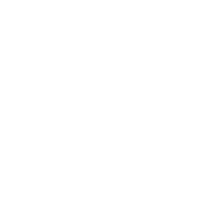The image is completely blank with a white background and no visible objects, text, or shapes.