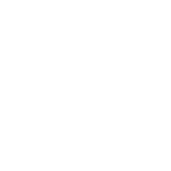 Tik Tok Link