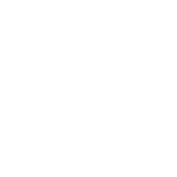 X Twitter Link