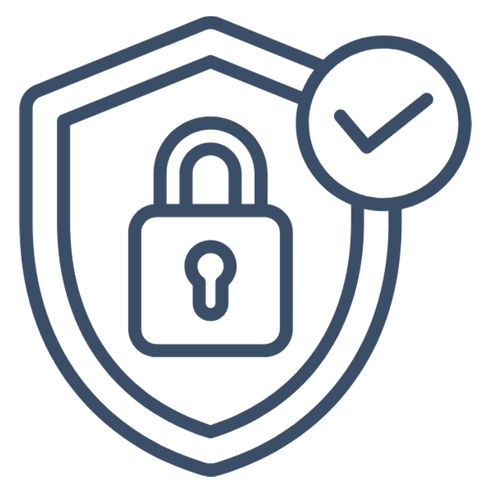 Network Security Icon