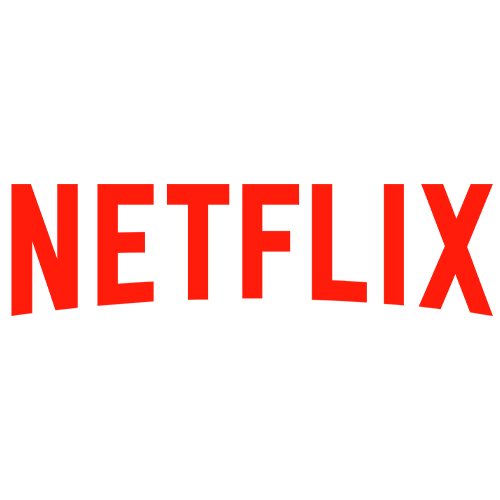 Netflix streaming service