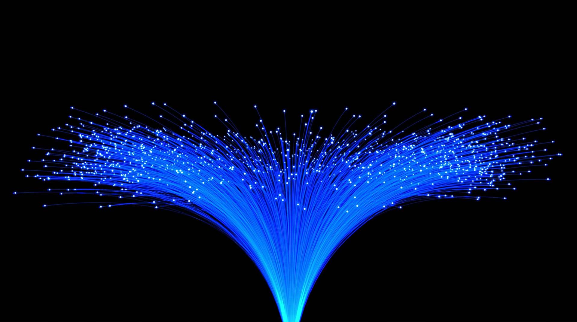 Lit Fiber Optic Lines