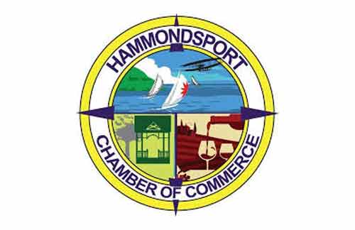 logo of the Hammondsport Chamber